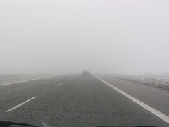 foggy highway